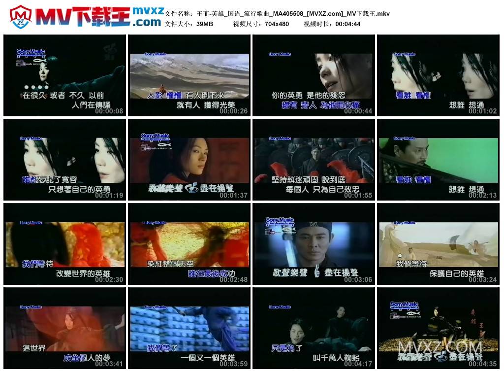 王菲-英雄_国语_流行歌曲_MA405508